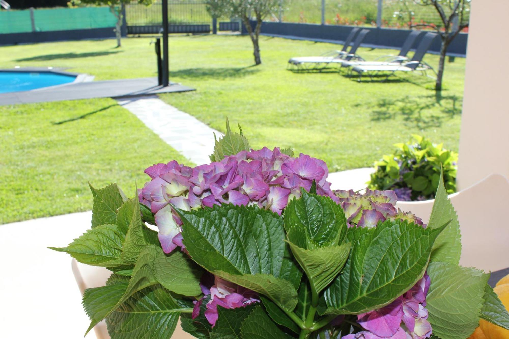 Apartamento En Bloque Vivienda Con Piscina Y Barbacoa A 15 Min De La Playa Meis 外观 照片